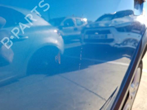 Left rear door DACIA SANDERO II 1.5 dCi | BP31314213C4 
