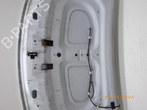 Hood DACIA SANDERO II 1.2 | BP24250177C1 