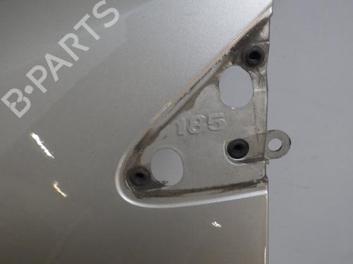Left front fenders RENAULT CLIO III (BR0/1, CR0/1) 1.4 16V | BP29454702C41 