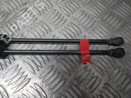 Tailgate lift support PEUGEOT 208 I (CA_, CC_) 1.5 BlueHDI 100 | BP24250708C138