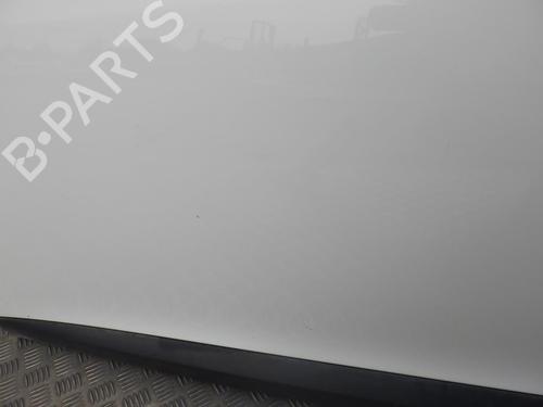 Left front door RENAULT MEGANE III Hatchback (BZ0/1_, B3_) 1.5 dCi (BZ0C) | BP24245423C2 