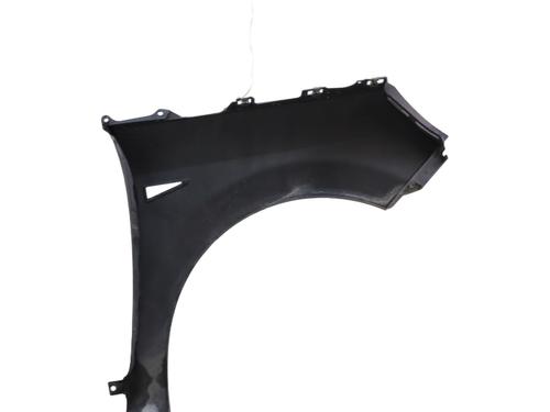 Left front fenders RENAULT SCÉNIC II (JM0/1_) 1.9 dCi (JM0G, JM12, JM1G, JM2C) | BP30397474C41