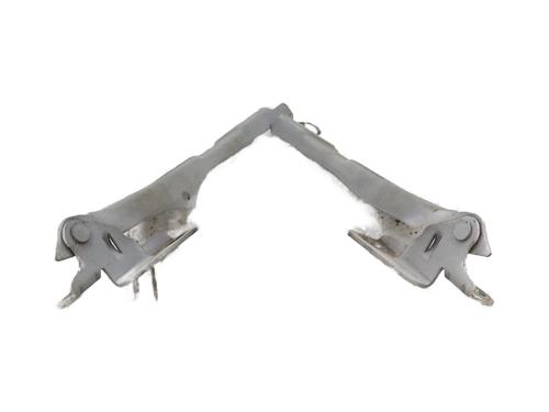 Hinge/Door check strap CITROËN C3 II (SC_) 1.6 HDi | BP29919016C146