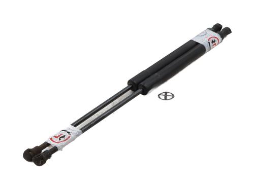 Tailgate lift support CITROËN C3 II (SC_) 1.6 HDi | BP29919018C138