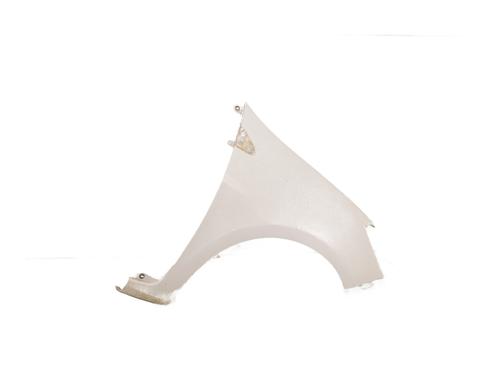 Used Right front fenders RENAULT CLIO III (BR0/1, CR0/1) 1.2 16V Hi-Flex (BR1U, CR1U) (75 hp) 29329302