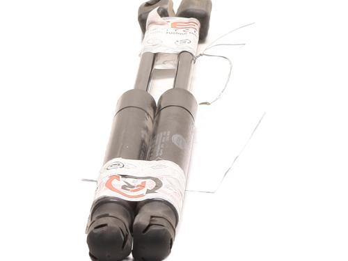 Hood lift support LAND ROVER RANGE ROVER EVOQUE (L538) 2.0 4x4 | BP27587363C139