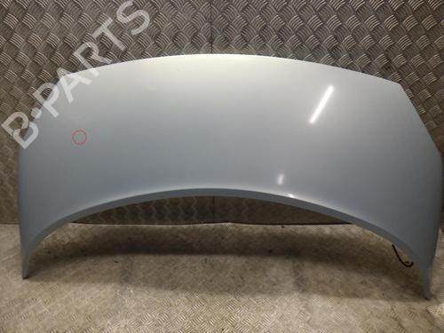 Used Hood RENAULT GRAND SCÉNIC II (JM0/1_) 2.0 dCi (JM1K) (150 hp) 24244984