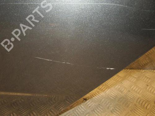 Left rear door CITROËN C4 II (NC_) 1.4 VTi 95 (NC8FP0) | BP24247330C4 