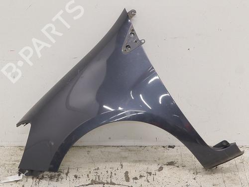 Guarda-lamas esquerdo RENAULT CLIO III (BR0/1, CR0/1) 1.5 dCi (BR17, CR17) (86 hp) 31754594