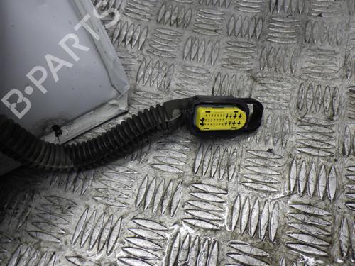 Left rear door RENAULT CLIO III Grandtour (KR0/1_) 1.5 dCi | BP24250877C4 