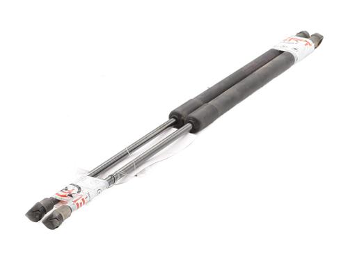 Tailgate lift support NISSAN QASHQAI I (J10, NJ10) 2.0 dCi | BP27219896C138 