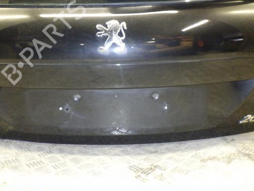 Tailgate PEUGEOT 207 (WA_, WC_) 1.6 HDi | BP24246537C6 