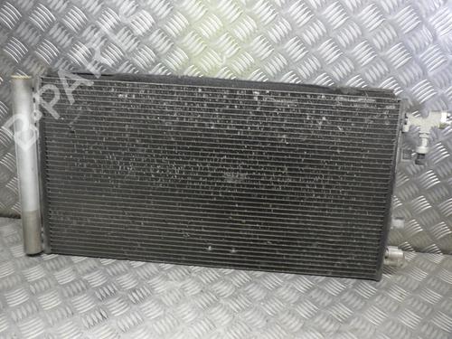 Used AC radiator RENAULT SCÉNIC III (JZ0/1_) 2.0 dCi (JZ0Y, JZ26) (150 hp) 24251027