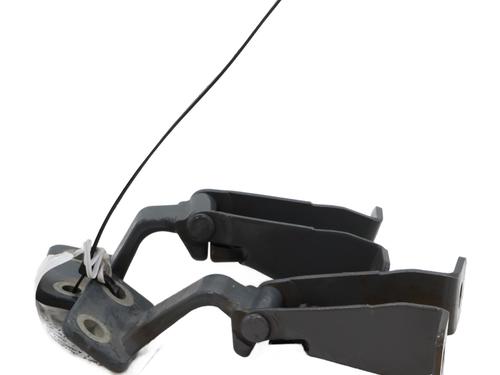 hingedoor-check-strap-renault-kangoo-express-fw01_-2008-34531385 main image
