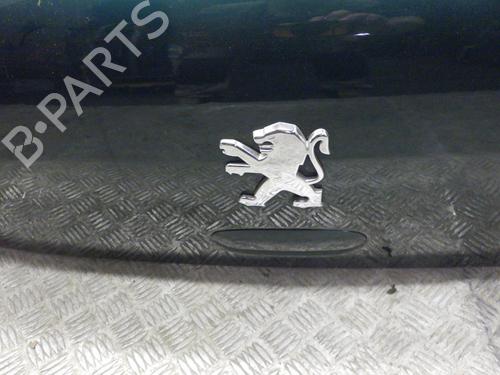 Tailgate PEUGEOT 307 (3A/C) 1.6 16V | BP24248613C6 