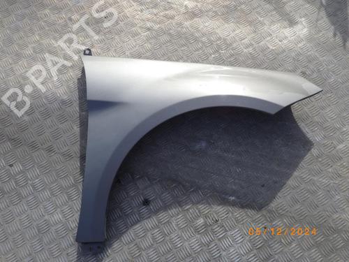 Used Right front fenders MERCEDES-BENZ B-CLASS Sports Tourer (W245) B 200 CDI (245.208) (140 hp) 24248134