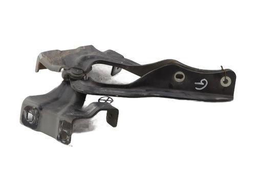 Hinge/Door check strap NISSAN QASHQAI II (J11, J11_) 1.3 DIG-T | BP29588979C146 