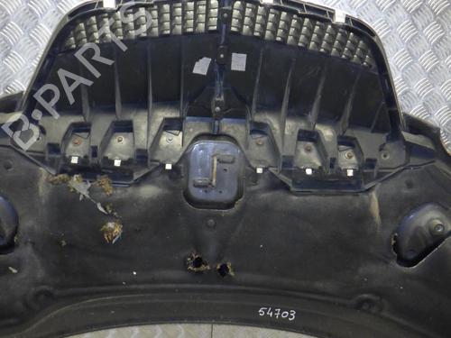 Hood LANCIA PHEDRA (179_) 2.2 JTD (179AXC1A) | BP24248474C1 