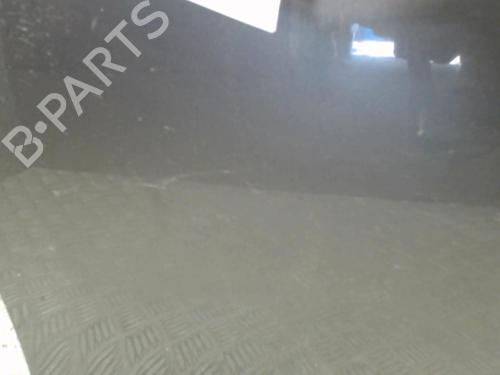 Right front door FIAT BRAVO II (198_) 1.9 D Multijet (198AXB1A) | BP24247454C3 