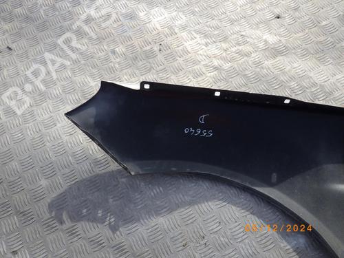 Right front fenders MERCEDES-BENZ B-CLASS Sports Tourer (W245) B 200 CDI (245.208) | BP24248134C42 