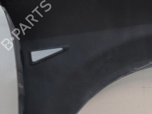 Left front fenders RENAULT SCÉNIC II (JM0/1_) 1.9 dCi (JM0G, JM12, JM1G, JM2C) | BP30397474C41