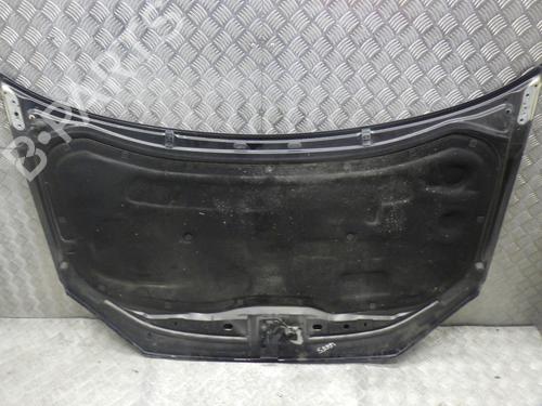 Hood VW POLO IV (9N_, 9A_) 1.4 TDI | BP24246575C1 