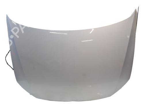 Used Hood Hood VW POLO V (6R1, 6C1) 1.6 TDI (75 hp) 40011764 40011764