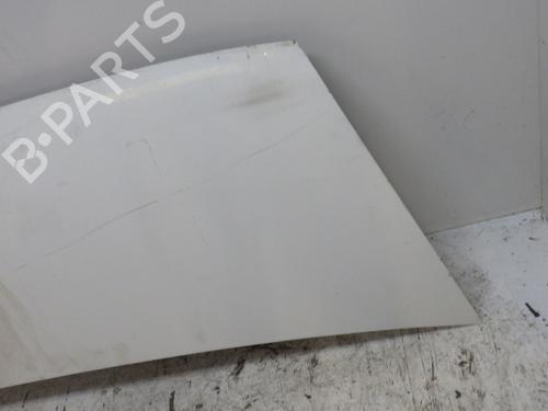 Hood FORD TRANSIT Van (FA_ _) 2.0 DI (FAE_, FAF_, FAG_) | BP29454698C1 