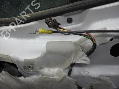 Right front door NISSAN PRIMASTAR Van (X83) 1.9 dCi 100 | BP24248962C3 