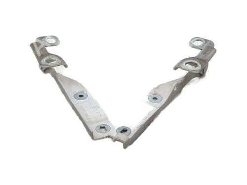 Hinge/Door check strap CITROËN C3 II (SC_) 1.6 HDi | BP29919016C146