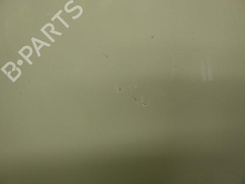 Hood RENAULT CLIO III (BR0/1, CR0/1) 1.5 dCi | BP24246730C1