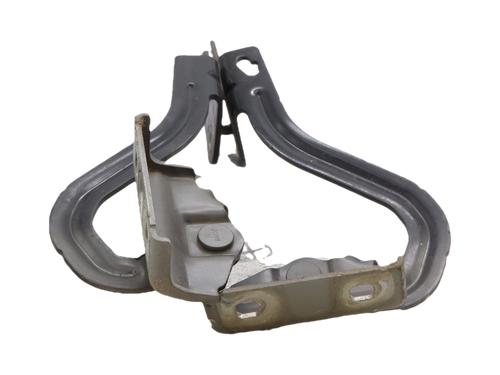 hingedoor-check-strap-renault-modus-grand-modus-fjp0_-2004-37250265 main image