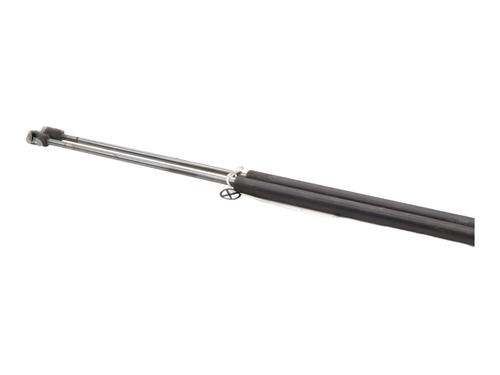 Tailgate lift support CITROËN C4 Picasso I MPV (UD_) 1.6 HDi | BP29039694C138 