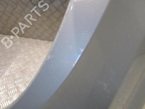 Left front fenders RENAULT LAGUNA II (BG0/1_) 1.9 dCI (BG0E) | BP24251759C41 