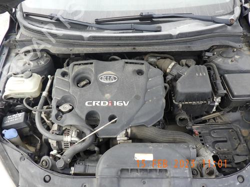 - Image 7