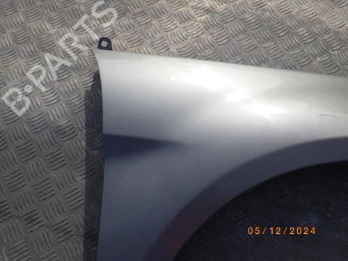 Right front fenders MERCEDES-BENZ B-CLASS Sports Tourer (W245) B 200 CDI (245.208) | BP24248134C42 