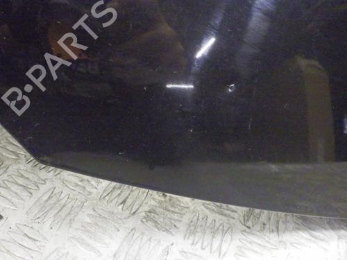 Hood RENAULT TWINGO II (CN0_) 1.5 dCi (CN0U) | BP24246979C1 
