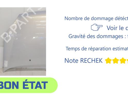 Hood RENAULT CLIO II (BB_, CB_) 1.5 dCi (B/CB07) | BP31967571C1 