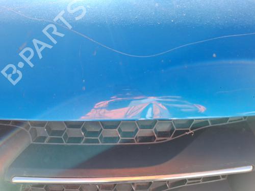 Hood DACIA SANDERO II 1.5 dCi | BP31314193C1 