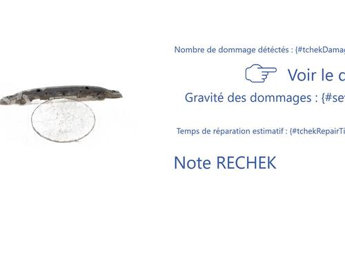 Rear bumper reinforcement RENAULT ESPACE IV (JK0/1_) 1.9 dCi (JK0U) | BP29518803C73 
