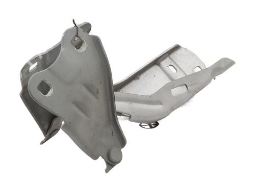Used Hinge/Door check strap RENAULT TWINGO II (CN0_) 1.2 16V (CN04, CN0B) (75 hp) 29401932