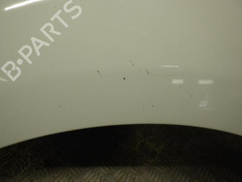 Left front fenders RENAULT SCÉNIC III (JZ0/1_) 1.5 dCi | BP24246481C41 