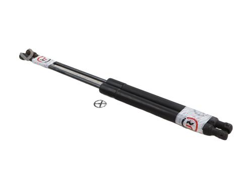 Tailgate lift support CITROËN C3 II (SC_) 1.6 HDi | BP29919018C138