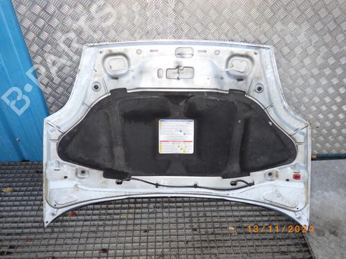 Hood FIAT GRANDE PUNTO (199_) 1.3 D Multijet | BP24244593C1 