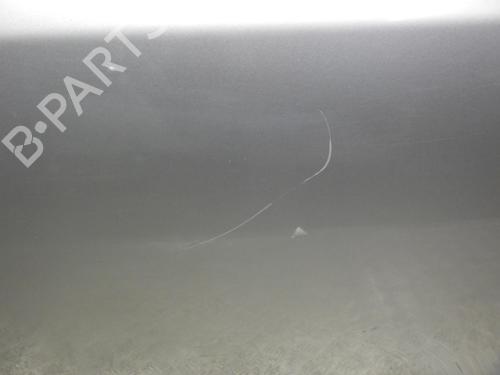 Left rear door SKODA FABIA II (542) 1.6 TDI | BP24245183C4 