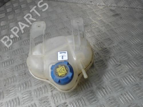 Used Expansion tank FIAT GRANDE PUNTO (199_) 1.3 D Multijet (75 hp) 24252272
