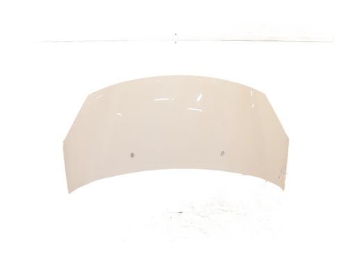 hood-citroen-c3-ii-sc_-2009-29053613 main image