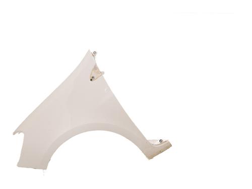 Used Left front fenders RENAULT CLIO III (BR0/1, CR0/1) 1.2 16V Hi-Flex (BR1U, CR1U) (75 hp) 29329303