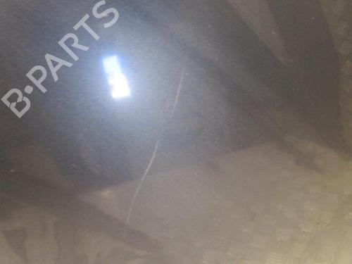 Hood RENAULT CLIO III (BR0/1, CR0/1) 1.5 dCi (BR17, CR17) | BP24932085C1