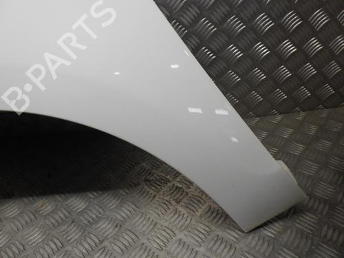 Left front fenders RENAULT SCÉNIC III (JZ0/1_) 1.5 dCi | BP24246481C41 
